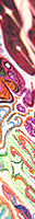 abstract effect melting.