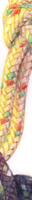 rope still life matted colored pencil fine art